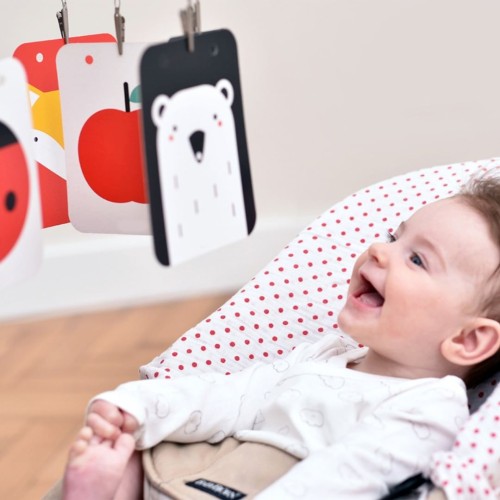 Едукативни карти и сложувалки Banana Panda