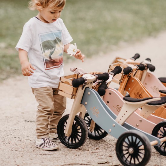 Tiny Tot Plus Silver Sage Трицикл и Баланс Велосипед 2 во 1